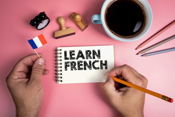 آموزش زبان فرانسه از صفر پیشنهاد می شود.