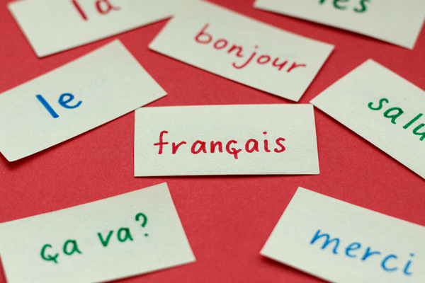 برای تقویت زبان فرانسه در دوره زبان فرانسه آموزشگاه حریری شرکت کنید.
